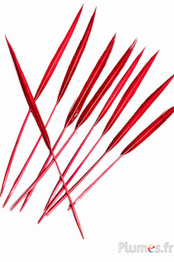 Goudfazant staart - 20-24 cm - rood